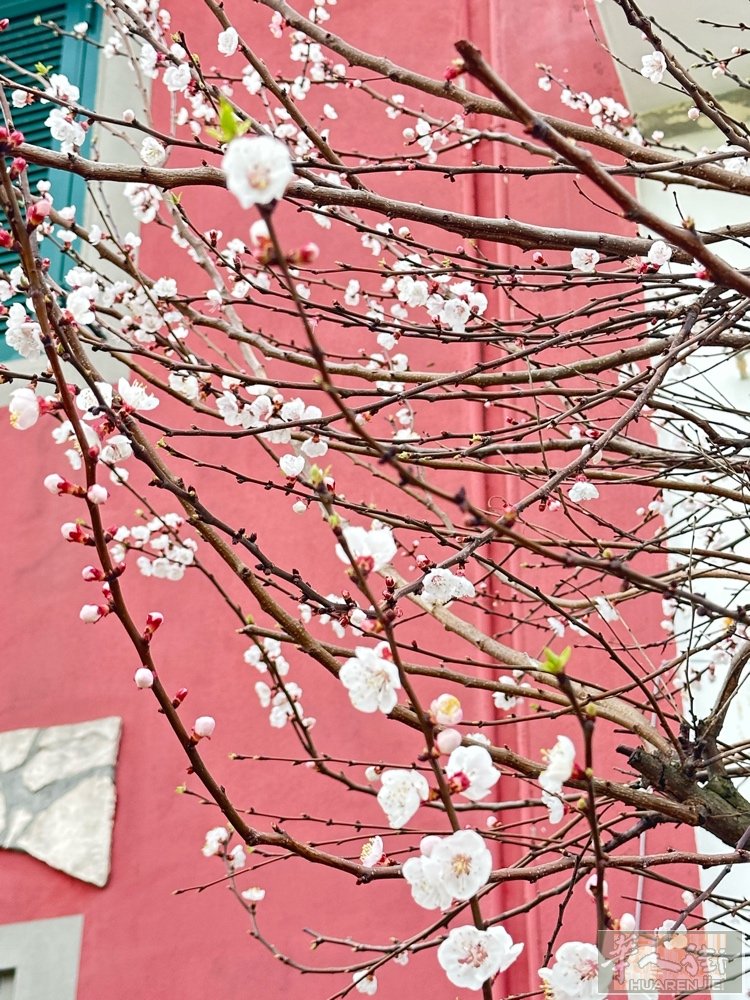 Empoli有住家可以登身份证的吗？有的话请联系我. 电话：3242875981