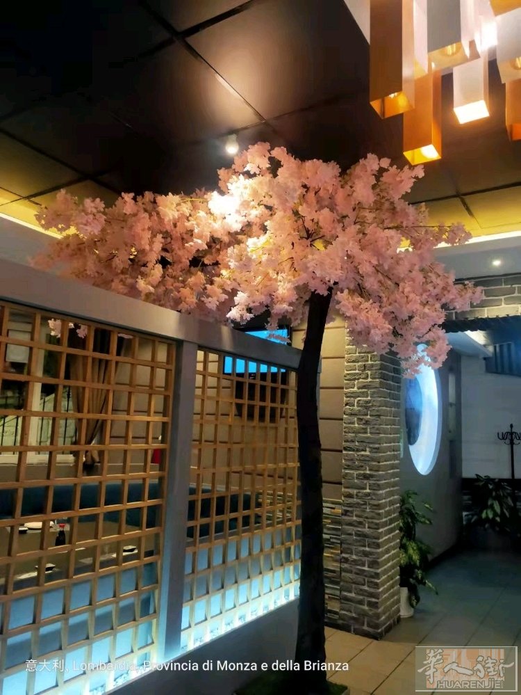 米兰边城市MEDA一家9年中日包餐老餐馆出售, 120个位置，楼上住家有10个房
