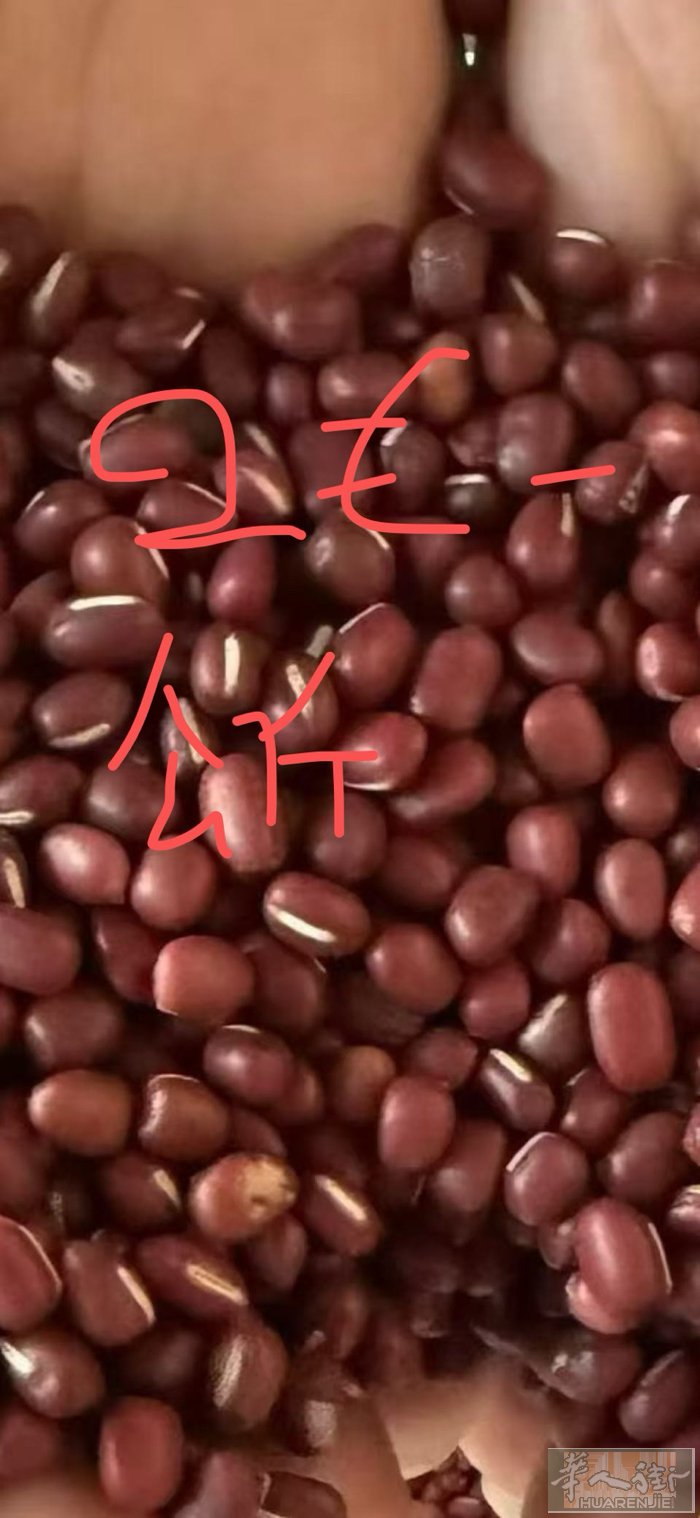 米兰长期有红赤豆，绿豆。白豆3778284683