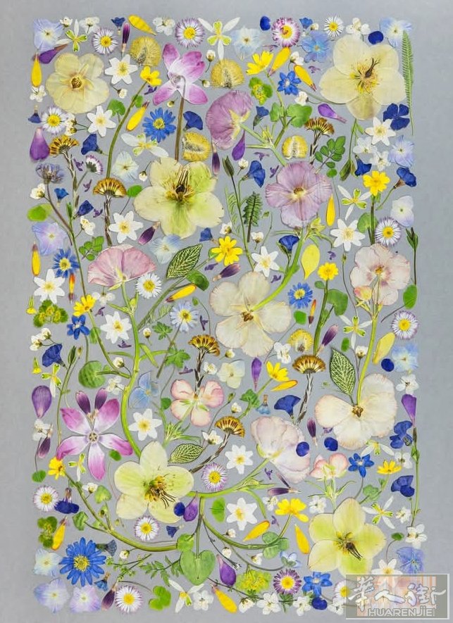 鲜花变成永生花！ 婚礼生日毕业各种花卉押花成为艺术品 wechat/whatup00393338048643米兰及各地区都可以！
