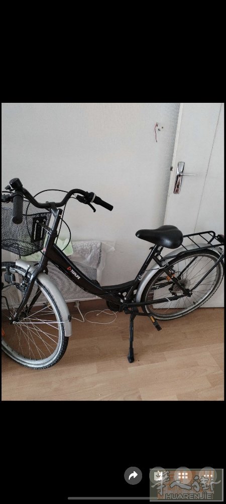 出售几乎全新的自行车(买来几乎没骑过,原价290欧), 现卖200欧， 有意者可