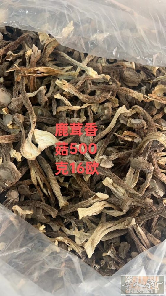 我家有红薯🍠粉，葛根粉，都是我妈妈做的喜欢吃的华人们请联系我，还有桂圆肉，香菇