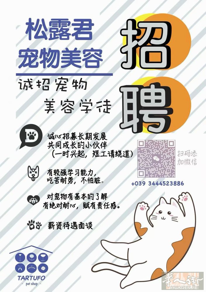 华人街宠物店招聘！ 有经验的无经验的都可以来看看