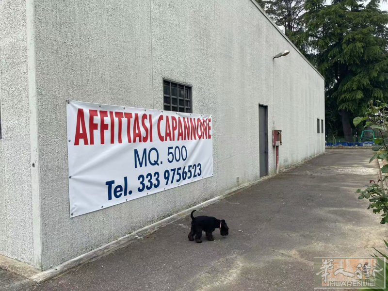 prato vergaio 工厂出租 500平方 带停车场🅿️