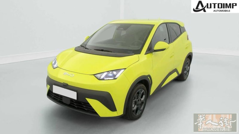 -12% 折后价22796€特别适合新手 BYD DOLPHIN SURF 43