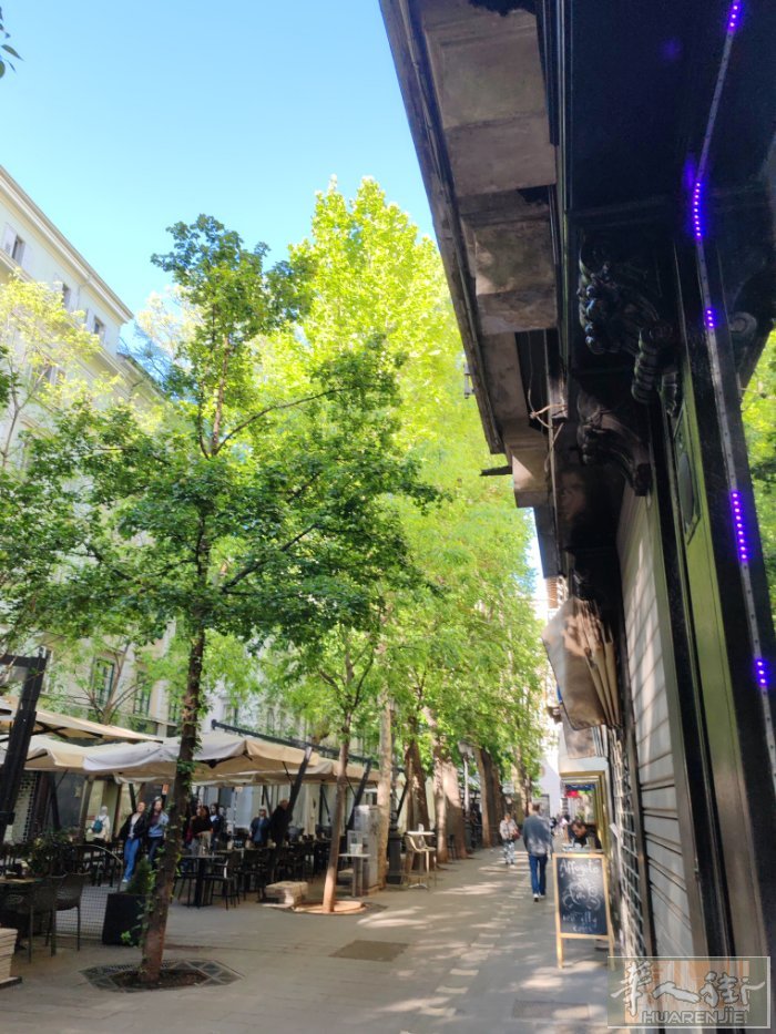 trieste 急招美甲中工 大工 待遇好