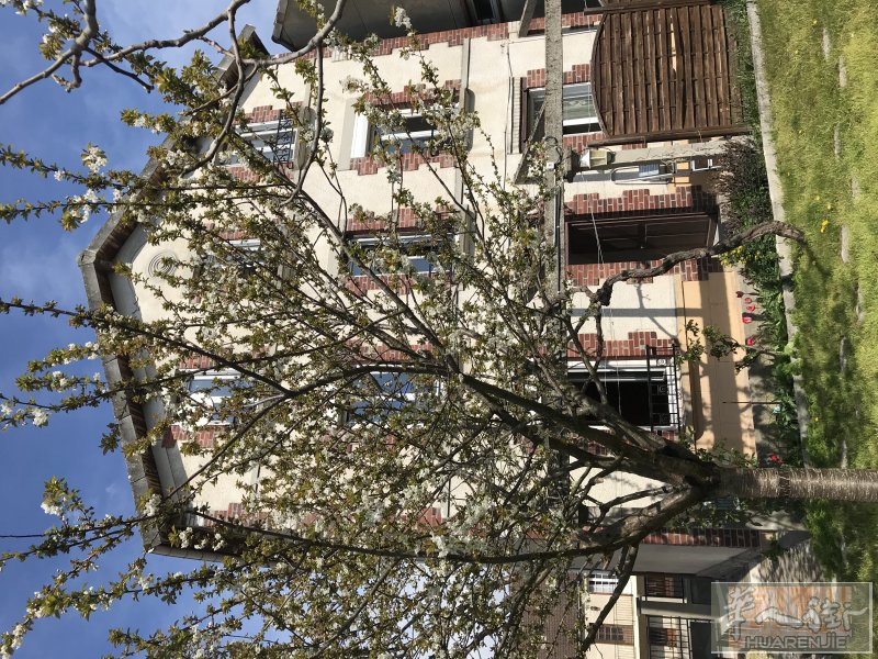 91省静谧住宅区的绝佳投资物业, 风格古典, 独具特色