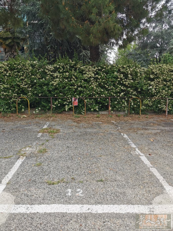 米兰车位出租，价格合理，maciachini 区，via Pellegrino