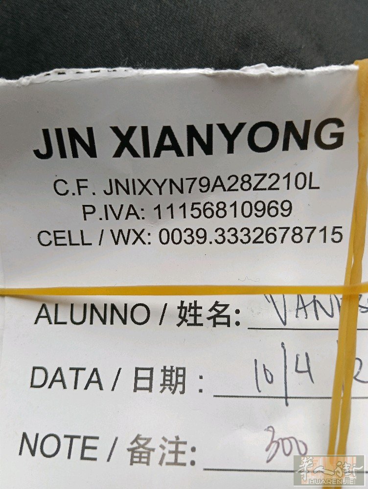 金教练/驾照 手机/微信00393332678715