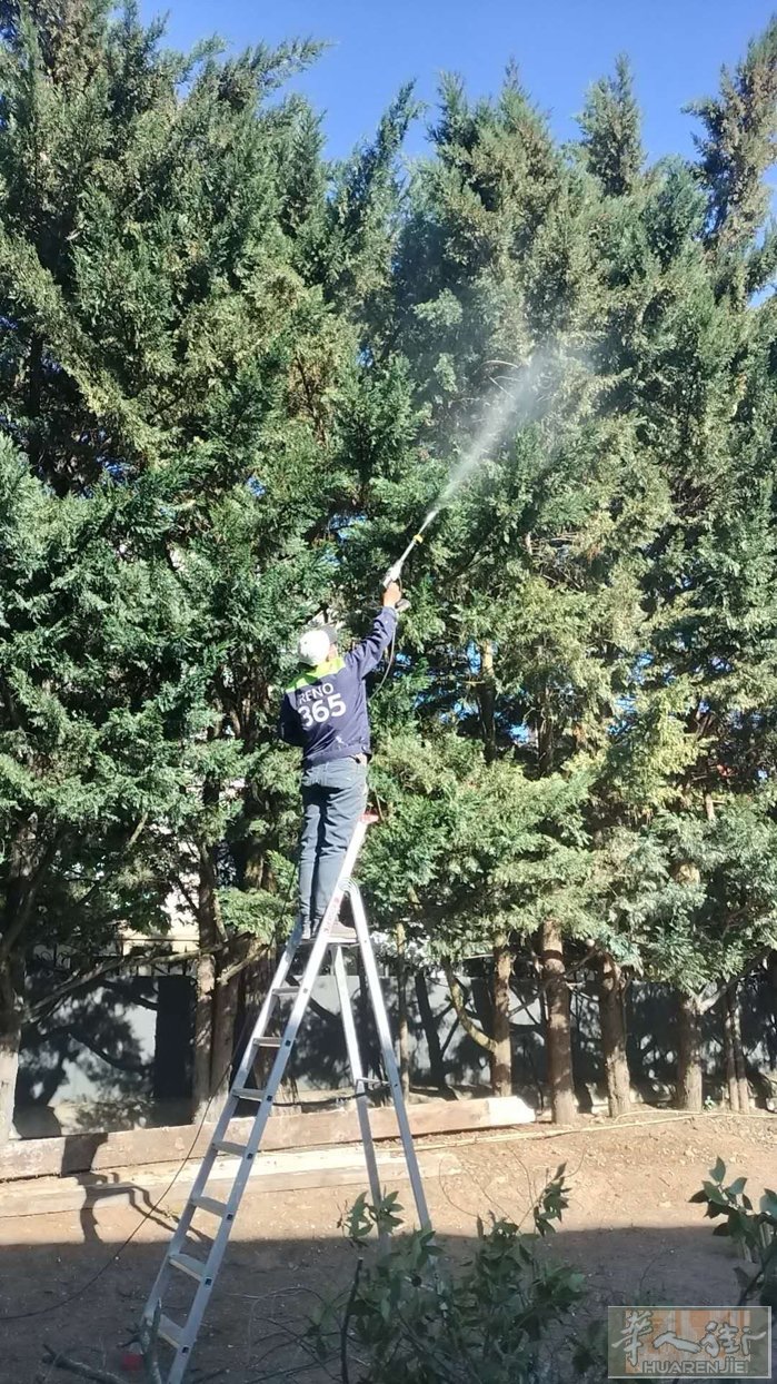 专业绿化20多年绿化五到七月园林花草病虫害园林修草坪打草各种原理，整改景观制作花