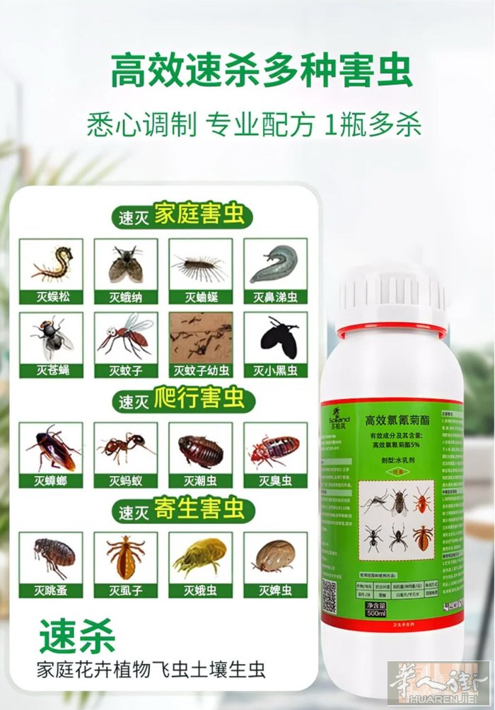 蟑螂 螞蟻 各種臭虫藥水1瓶25 € 500毫升浓度超高需要加1000毫升水1瓶