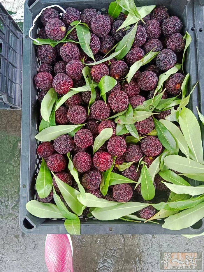 猪油渣，猪肉脯，王中王火腿肠，烧烤鱿鱼仔，健力宝六神花露水