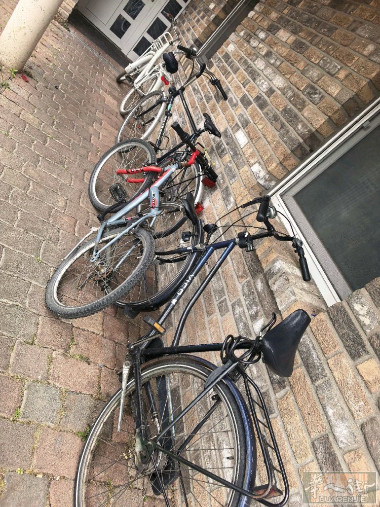 自行车自取，每辆30欧，地址Schwalmtal