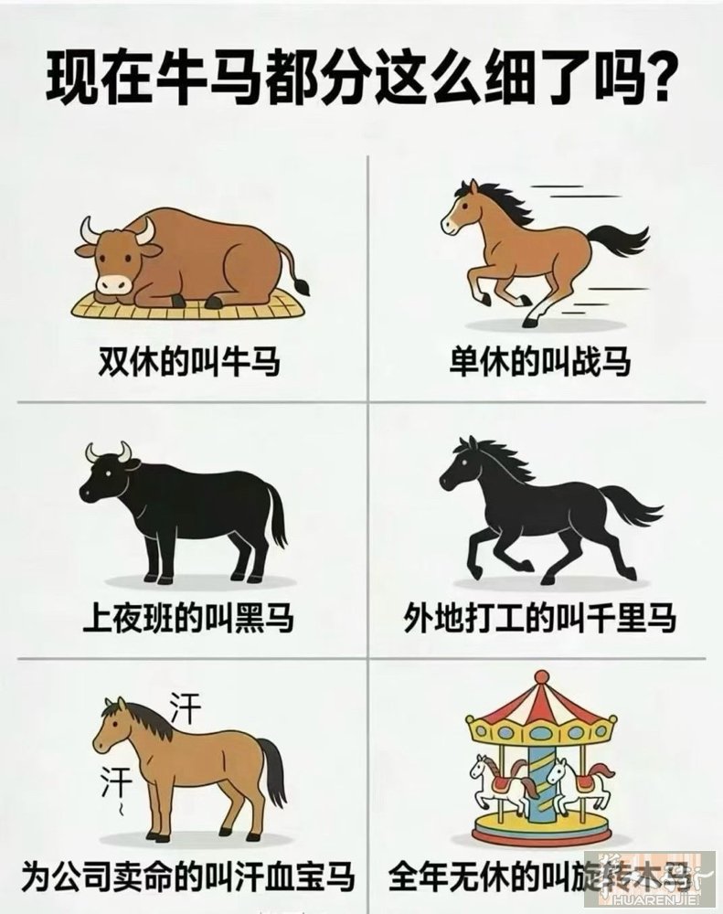 办理银行卡业务 暂住证业务 联系电话3513589555 保护居留人员可以办理银