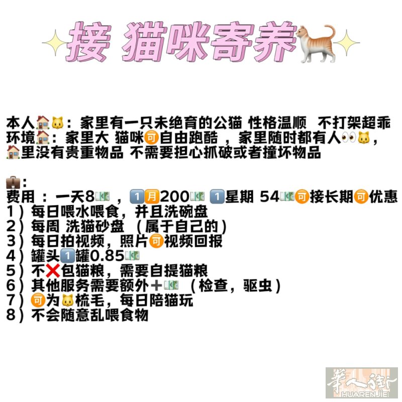 接寄养modena猫咪 v：Yesiya06