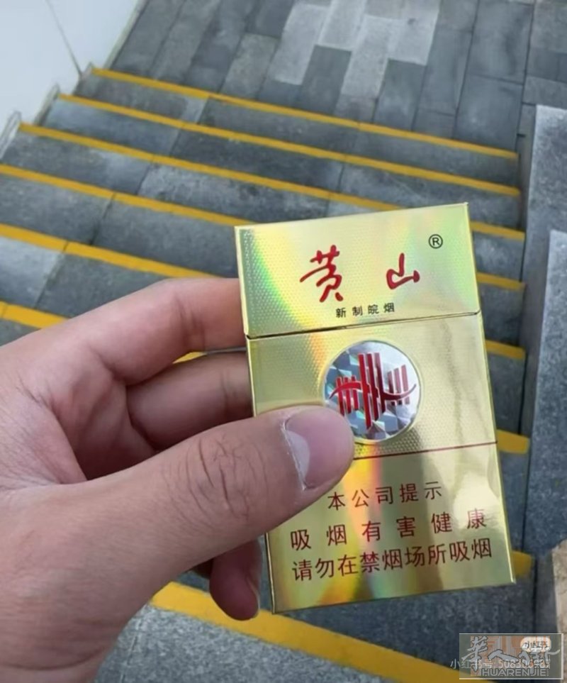 朋友刚带出来的 粗杆黄山