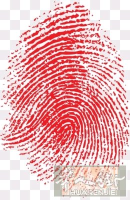 罗马地区警察总局按手印速约，最快3天，无论是正常续居留，或办理长期居留还是因保护