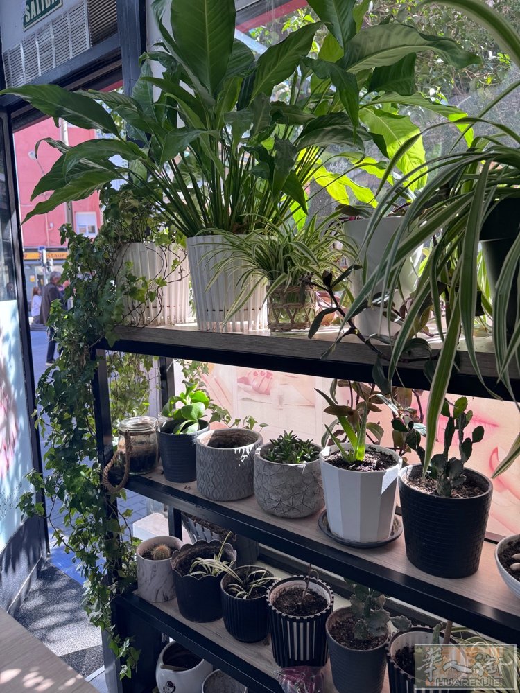 诚招中工姐妹👯‍♀️ 包吃一餐 店里同事好说话，客源稳定小费多 环境干净舒适，