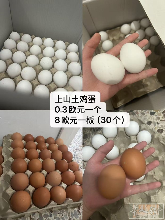 老外山上散养的土鸡蛋，超市里面卖0.5 0.6欧一个的，都是当天上山捡回来的鸡蛋