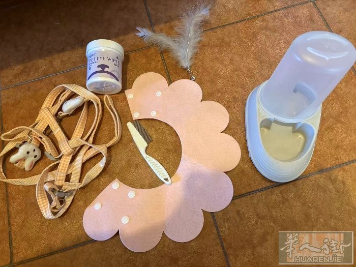 普拉托出猫咪用品各种各样都有：猫咪衣服，猫咪围脖，猫咪伊丽莎白圈，猫咪擦眼湿巾，