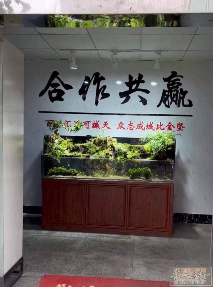 德国地区承接室内水族馆鱼缸工程业务 本人在国内从业十余年水族馆景观工程设计服务