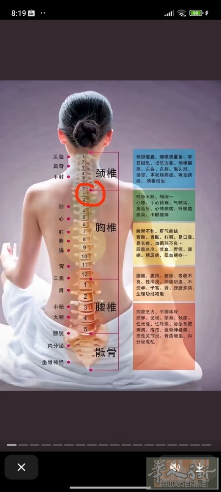 本人是女传统中医经络推拿师，在国内有14年的身材管理工作经验，现在在杜塞做经络调
