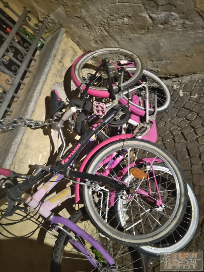 出儿童自行车5到10岁左右。30euro一辆，2辆50euro，都是女款