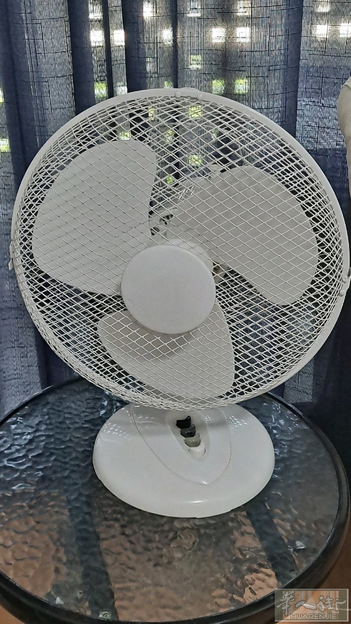 两个电风扇，运转良好，每个10欧元。天气越来越热，有需要的朋友小巴黎13区自取。