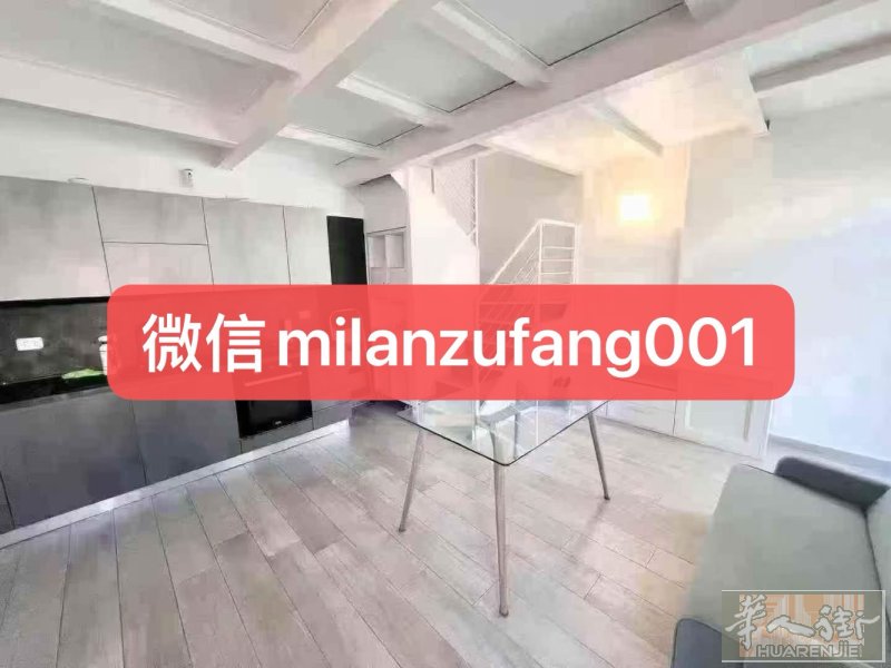 1100包物业暖气水  新装loft两室一厅，最近起租 ，可短租长租，方便去华人