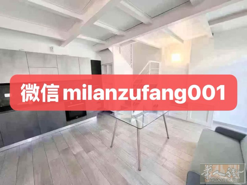 1100包物业暖气水  新装loft两室一厅，最近起租 ，可短租长租，方便去华人