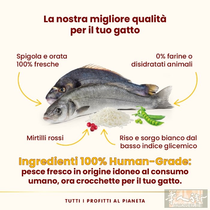 （宠物食品公司） 招聘意大利部分大区业务员,须有良好意语或（英语，西语，法语，德