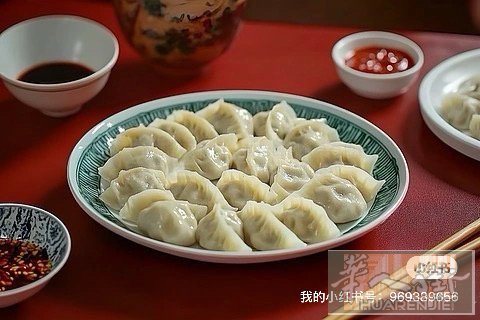 上门包饺子，让您品尝家的味道，只限海德堡和周边城市接单。咨询电话15216069