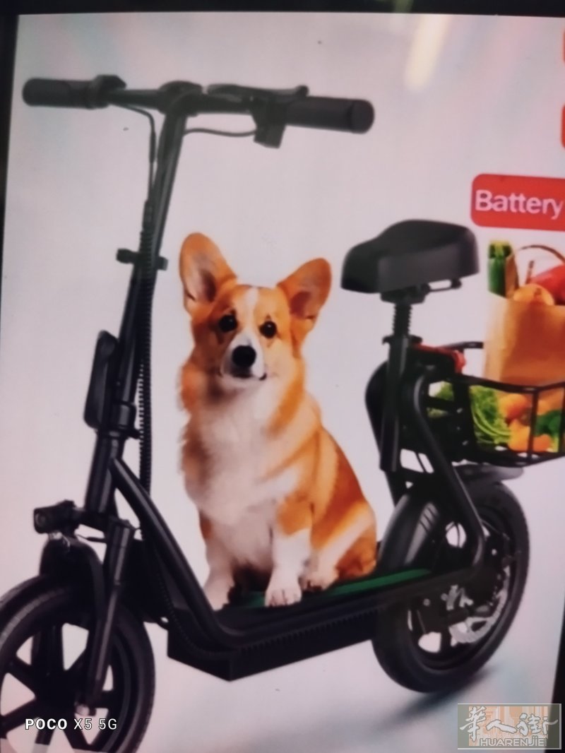 出全新电动车跑45里轮胎14寸蓝牙连接APP带发票