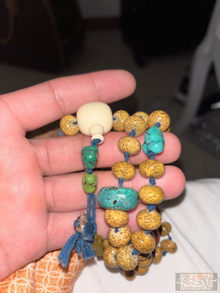 有需要的吗？价格不一样。需要加微