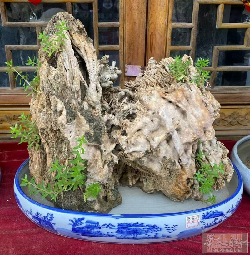 中式花园设计，风水布局，设计施工，日常维护 打理修缮，专业花园打理修缮、日常维护