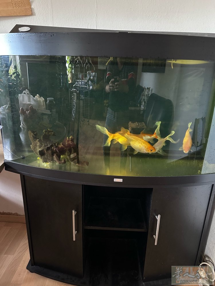 鱼缸出售尺寸120/46高138