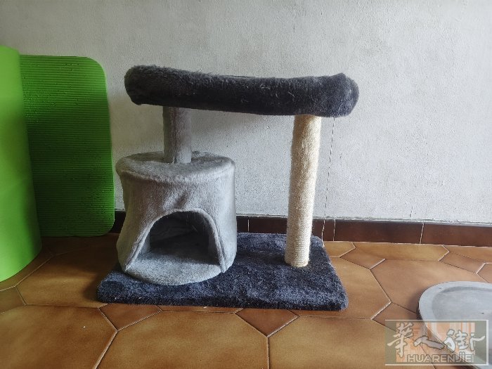 猫窝