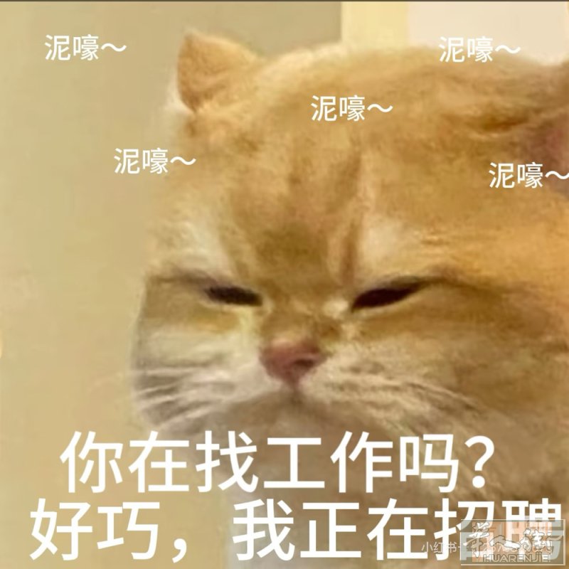 Forli 诚心招聘美甲师中工或者学徒 店里都是年轻人好相处 住家近一人一个房间