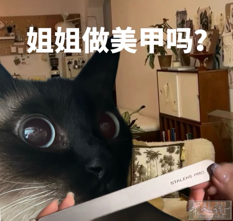 Treviso市中心招聘美甲师（小工/中工/大工）  要求：  · 掌握基础