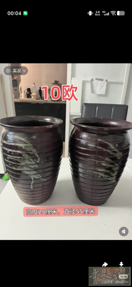 94区靠近13区不同风格的花盆，需要的请联系0619195685