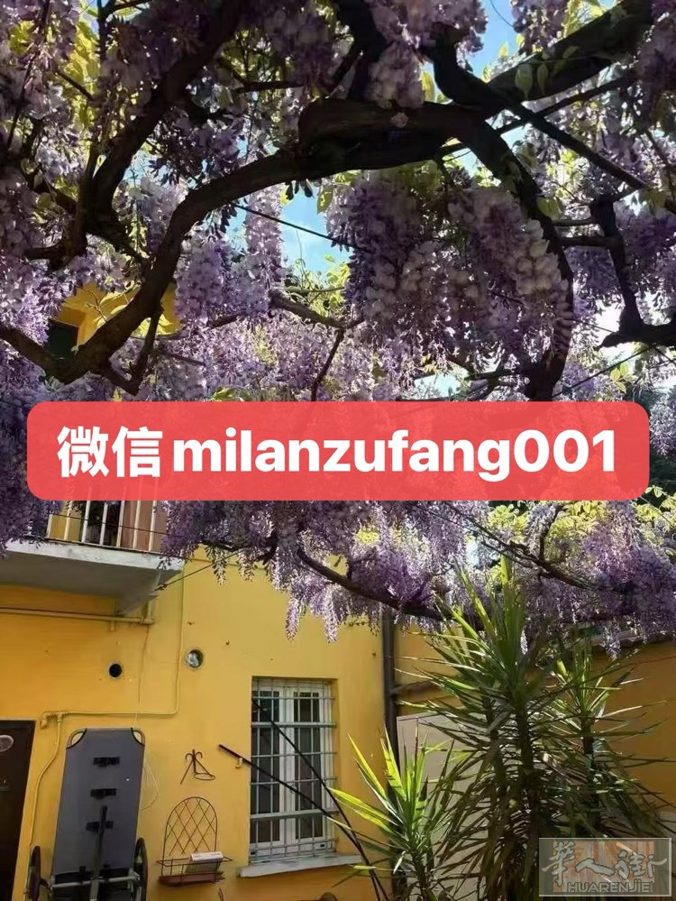🈶视频。【全新装修两室一厅有正式合同】绿线Udine地铁500米 价格：150