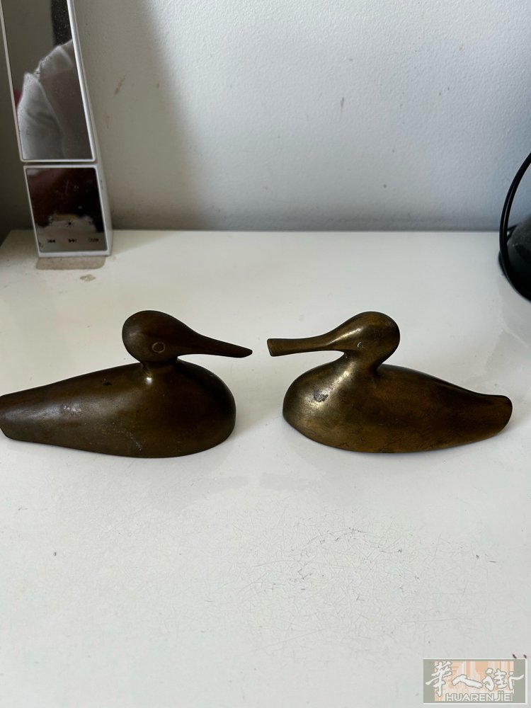 铜鸭