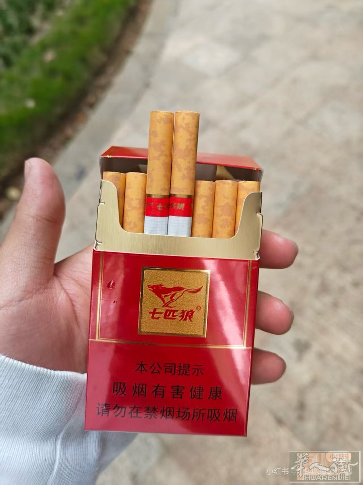 朋友带的几条红狼 有需要的请联系