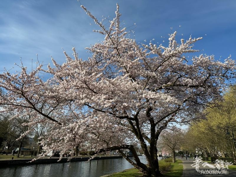 這周末6月12-13日，找2位男生幫忙搬家
