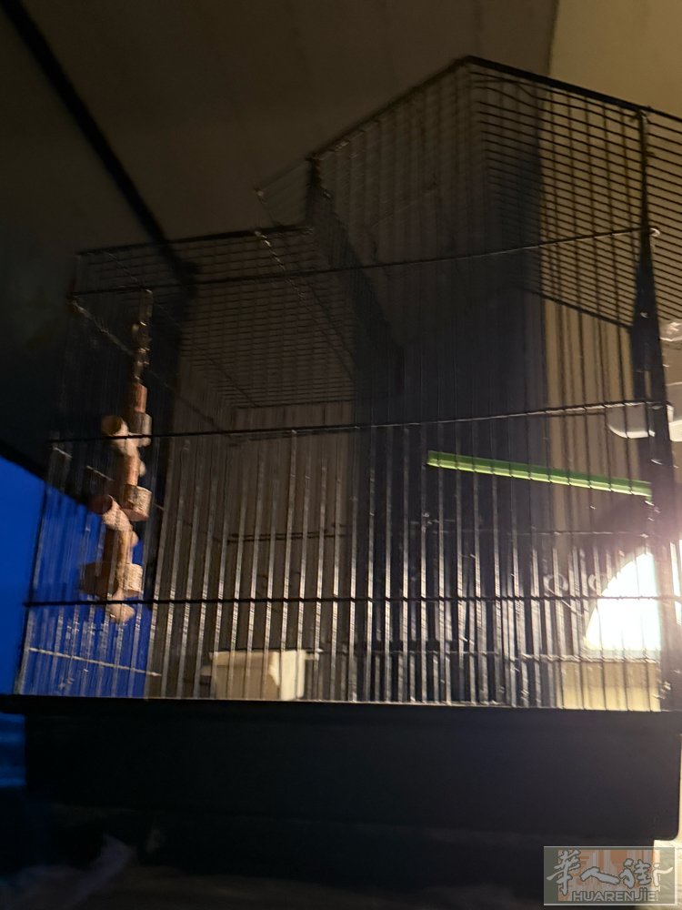20便宜买了全部拿走