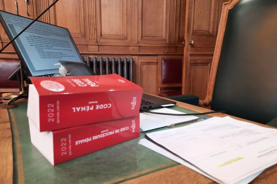 法国沃克吕兹省冷冻两名新生儿案宣判：涉案母亲被判25年监禁